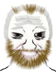 265x348