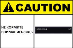 604x404