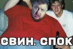 496x334