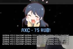 536x362