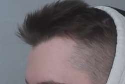 320x217
