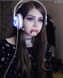 292x360