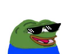 259x194