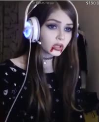 292x360