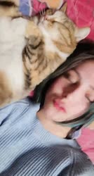 688x1280