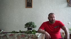 1280x720