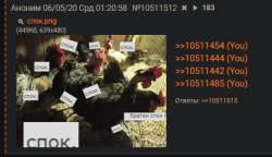 453x261