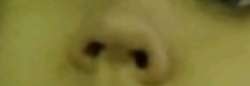 774x267