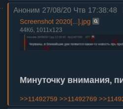 330x293