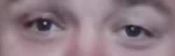 254x82