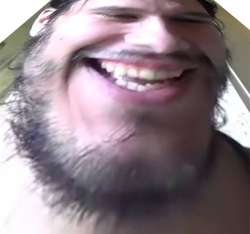407x381