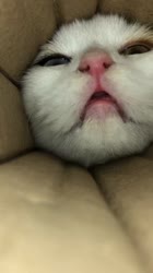 576x1024