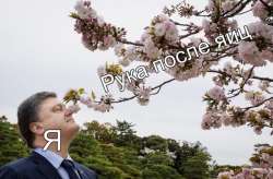 700x460