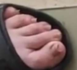 339x311