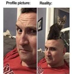 700x701