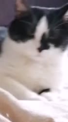 640x1136