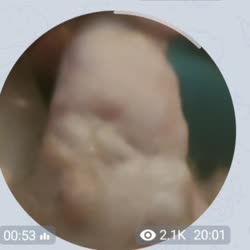 720x720
