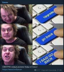 547x613