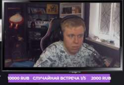 390x269