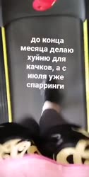 480x950