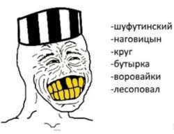 577x446