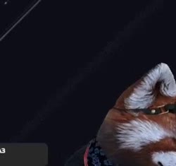 272x256