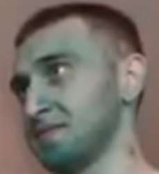 229x250