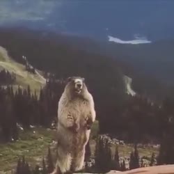 360x360