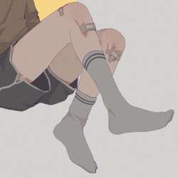 815x815