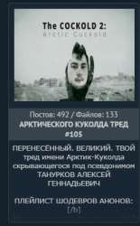 256x411