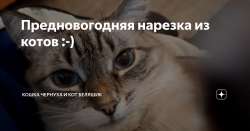 1200x630