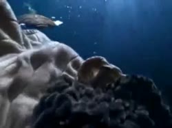 480x360