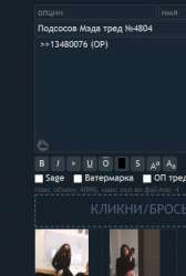 349x519
