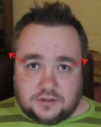 395x494