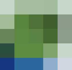 500x484