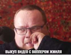 489x381