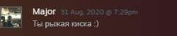 289x60