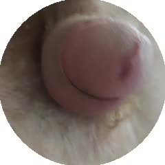 240x240