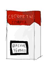 256x337