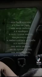 480x864