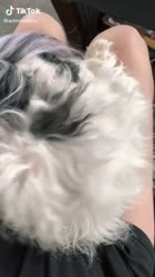 540x960