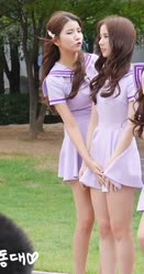 520x990