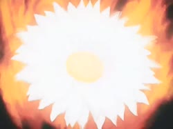 960x720