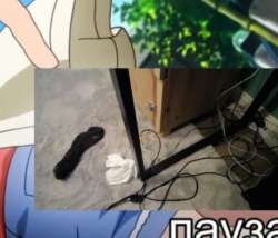 460x395