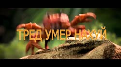 1280x720