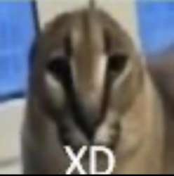 640x643