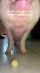 576x1024