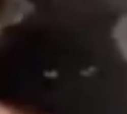269x242