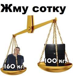 480x500