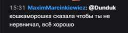 297x79